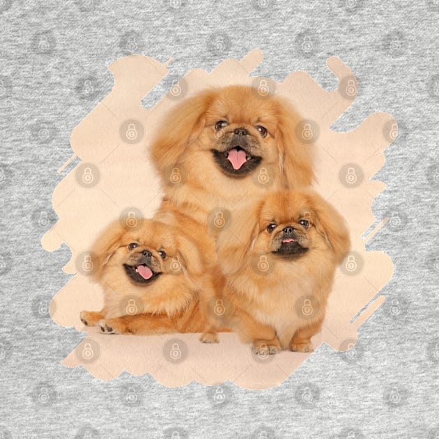 Pekingese dogs collage by Nartissima